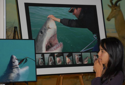 Skyler Thomas spreads shark education at cafes in San Francisco, dubbing these temporary galleries as 
