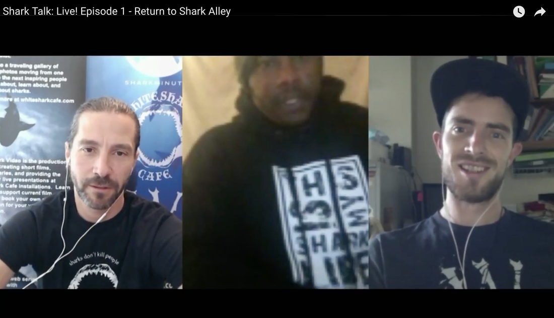 Skyler Thomas and Dan Abbott interview great white shark photographer, Lalo Saidy about the changes in Shark Alley, the white shark capital of the world located next to Gansbaai, South Africa.