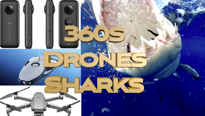 #skylerthomas #sharks #guadalupe #whitesharks #sharktrip #cagedive #greatwhite