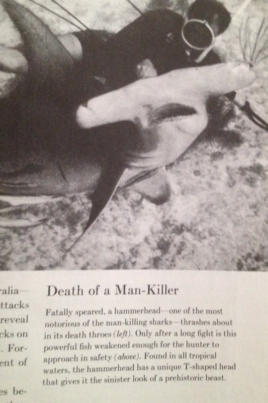 Came across this Time Life book published in the early 70s depcicting what we now know as a shy shark as the enemy  and the man that killed it a hero