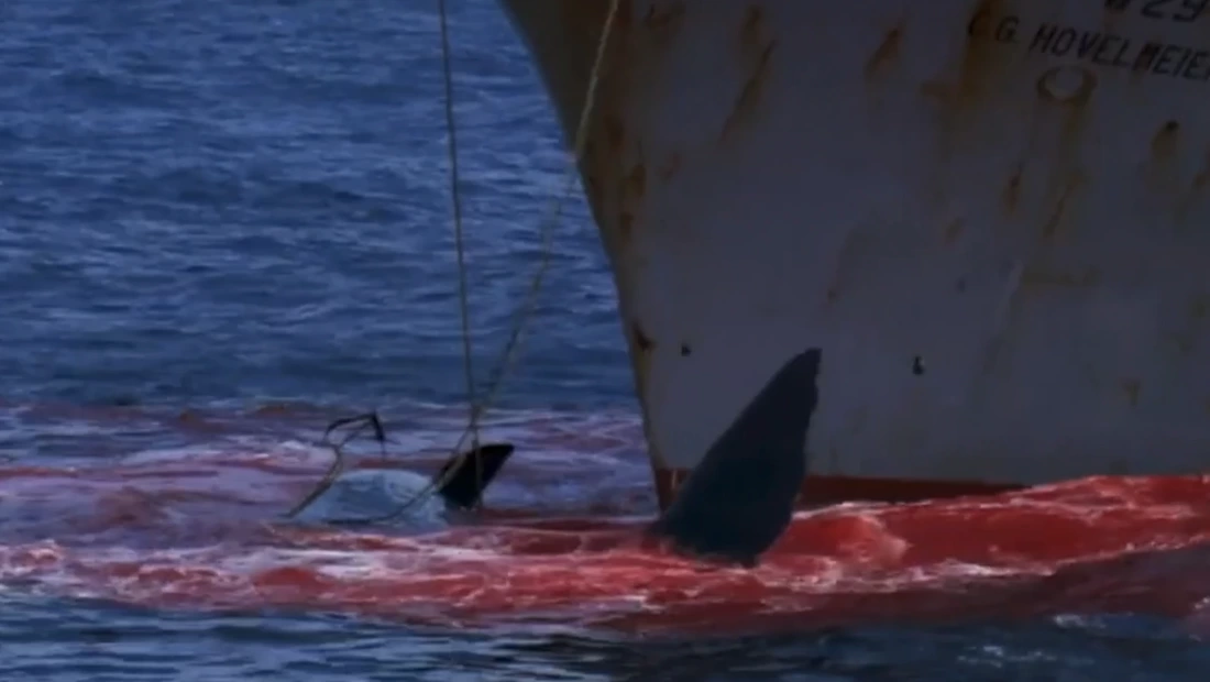 Speciesism in classic shark films