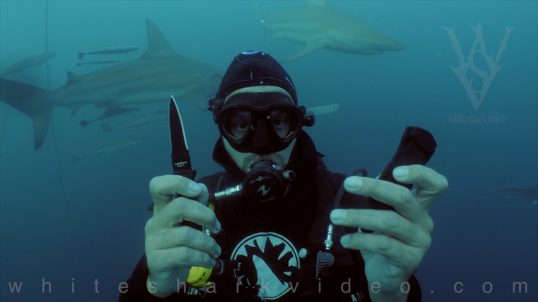 Shark filmmaker Skyler Thomas reminds us that just because sharks can smell our blood doesn’t mean it is of interest to them. 