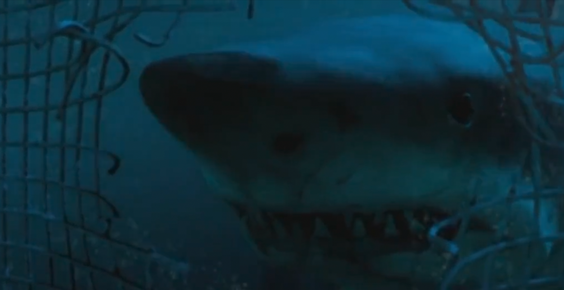 Skyler Thomas takes an ecological approach when reviewing Hollywood's animal-based horror movies, especially Jurassic World, The MEG, and all shark movies in a special edition of Shark Minutes.