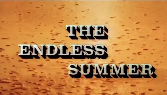 Admittedly, I'm uncomfortable criticizing such a wonderful, and seemingly innocent film as 'The Endless Summer'. However, the shark information given in the film is quite damaging. Telling the audience there is a 50/50 chance you'll be killed by a shark if you don't swim at a netted beach is not only misinformation, but a promotion for the ecologically devastating company, The Natal Sharks Board. 