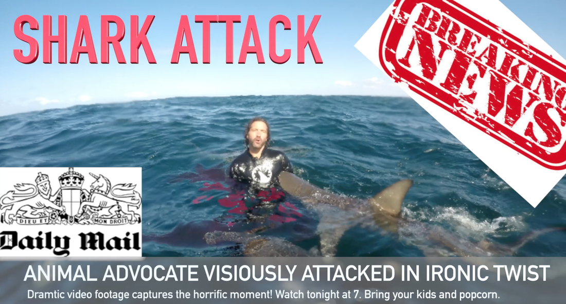Blood turns the water to red as sharks move in on the bite victim. Skyler Thomas Shark Bite Shark Attack Click bait #skylerthomas #sharkattack #sharkbite #clickbait #onstersfilm