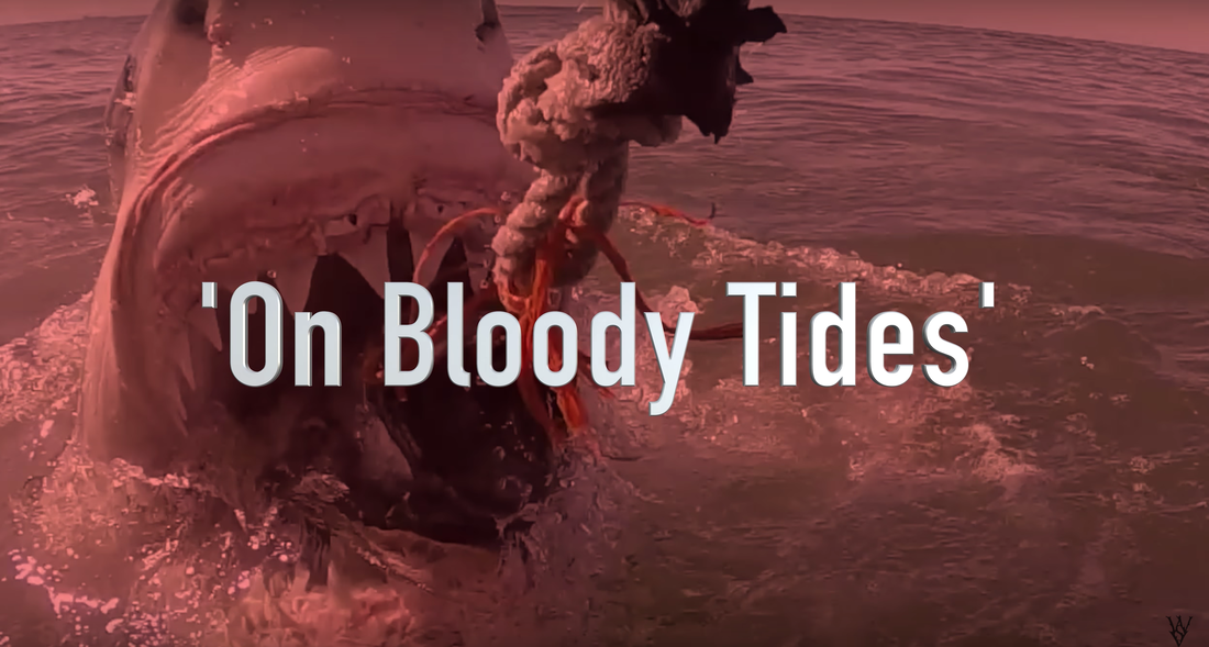 Catch the new Shark Week shark advocacy show, 'On Bloody Tides.
