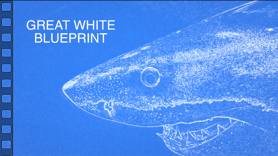 Filmmaker, Skyler Thomas, gives us a new view of the white shark's anatomy by adding a blueprint effect to White Shark Video's footage of white sharks.  The result is mesmerizing and educational. #whiteshark #skylerthomas #whitesharkvideo #blueprint
