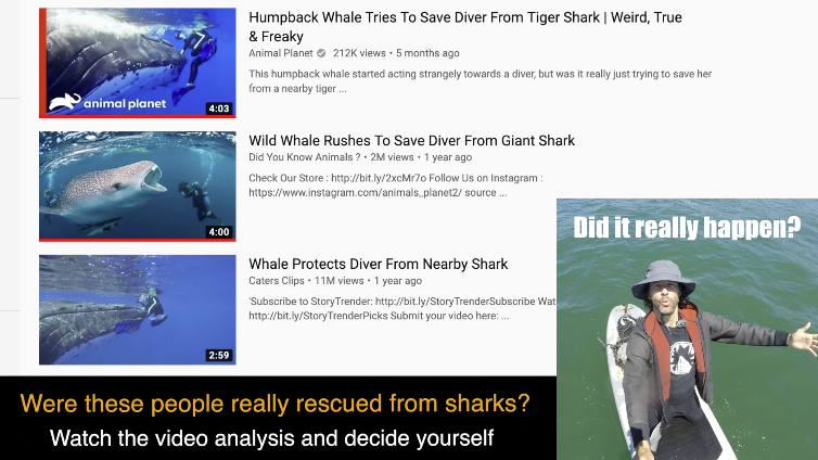 Were these people really saved from sharks by altruistic animals?  Skyler Thomas analyzes the footage so you can make a more informed decision. #sharkweek #shark #rescue #sharkrescue #saved #skyler 