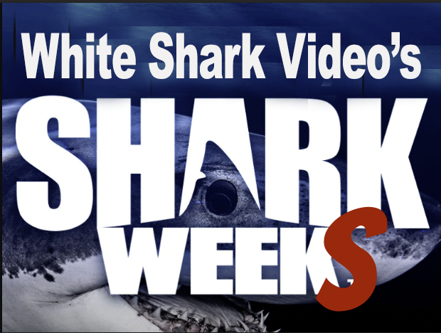 What is Shark WeekS? Over a ten week period of time leading up to and following Discovery Channel's garbage shark programming, I will be releasing a series of podcast interviews with people in the shark diving industry as well as a few special personal productions.  